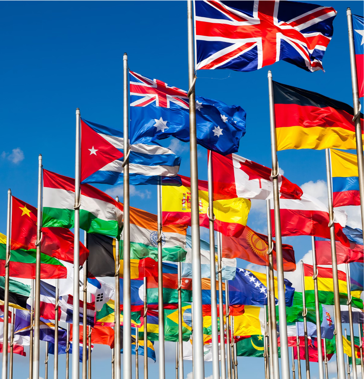 Наші послуги