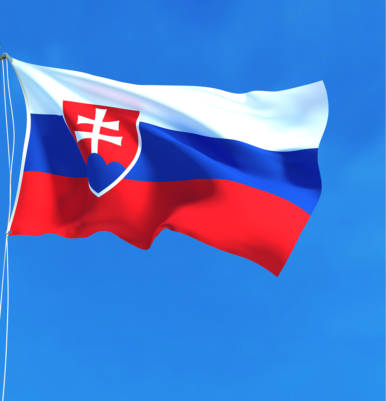 Usługa przewozu zwłok lub urny ze Słowacji do Polski zawiera:
